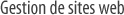 Site web realises